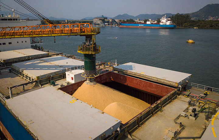 Embarques de soja crescem 12,5% pelo Porto de Santos
