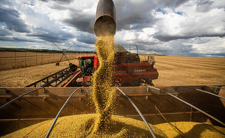 Produtor rural pode ter ajuda de até R$ 4 milhões. Punição rigorosa à fraude. Produtor rural pode ter ajuda de até R$ 4 milhões. Punição rigorosa à fraude.