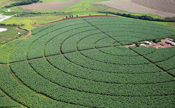 Empresários do Brasil estão na China para ampliar agronegócio