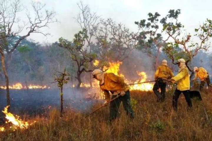 Brasil declara emergência contra incêndios florestais. Calendário.