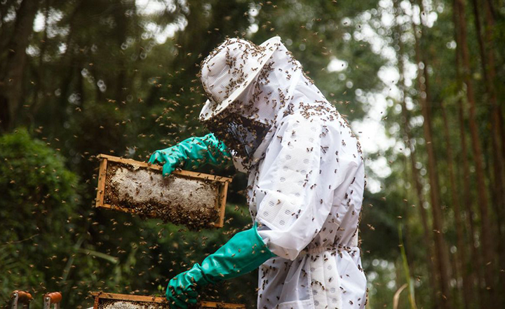 Produtores da agropecuária brasileira procuram mercados mundiais em feiras