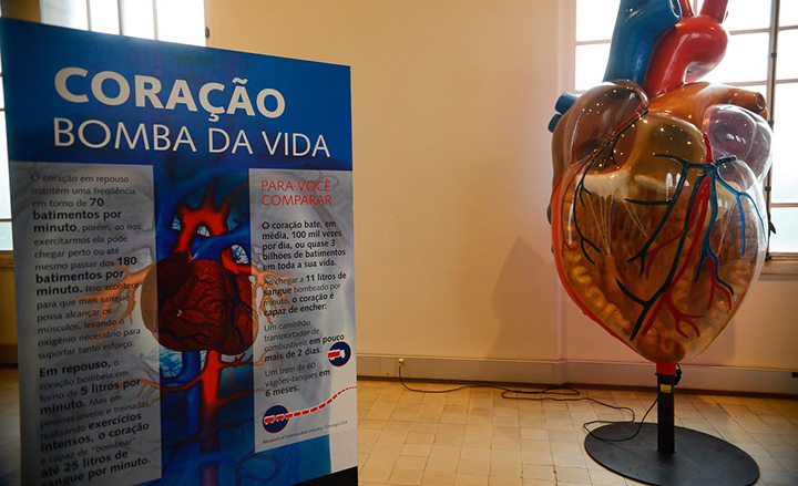 Colesterol, médico ensina pevenir doenças do coração Colesterol, médico ensina pevenir doenças do coração