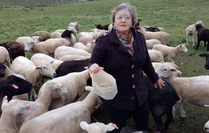 EMBRAPA mostra histórias de mulheres que dirigem negócio rural