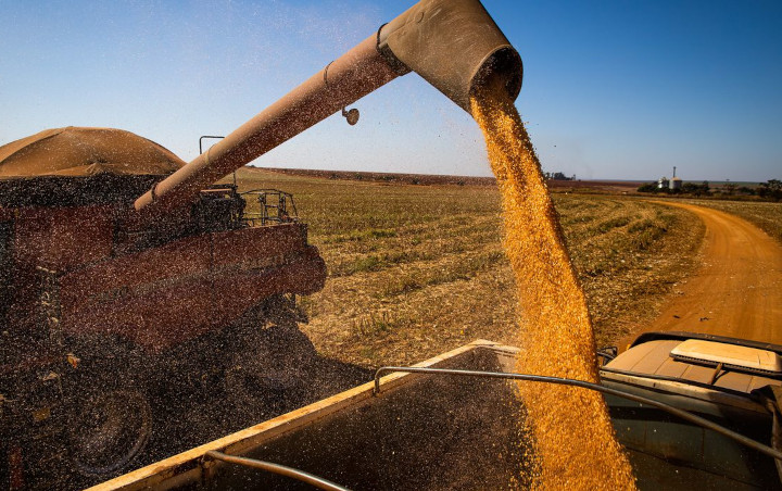 Clima no Brasil complica planos do agronegócio