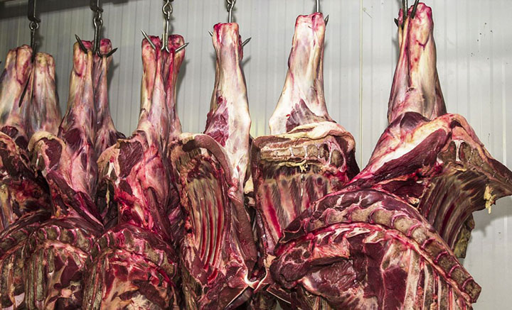 Exportadores mostram prejuízos com altas taxas, mas procuram outros mercados