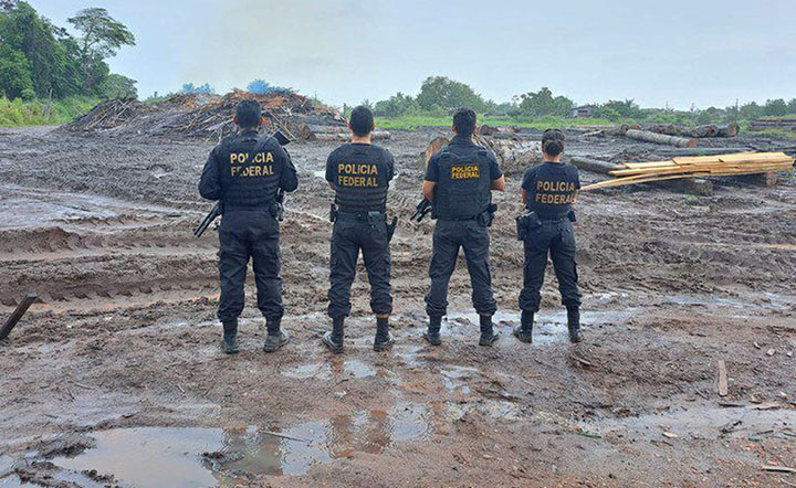 Polícia Federal apreende 497,46 m3 de madeira ilegal no Pará