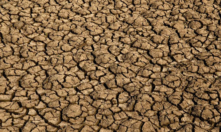 Desertificação ameaça a produção de alimentos na Terra Desertificação ameaça a produção de alimentos na Terra