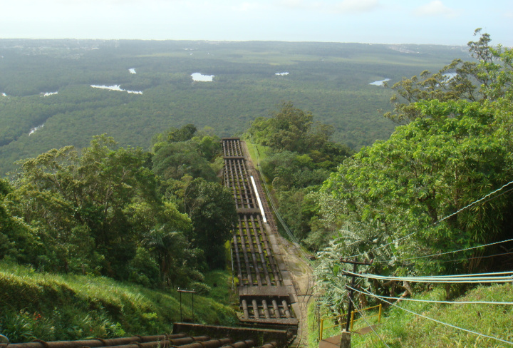 Com 19 km² de área preservada, Porto de Santos comemora Mata Atlântica