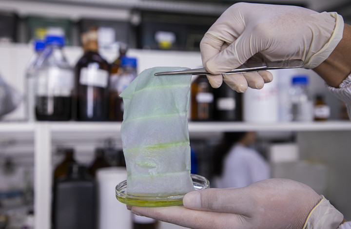 Embalagem inteligente denuncia quando alimento está estragado