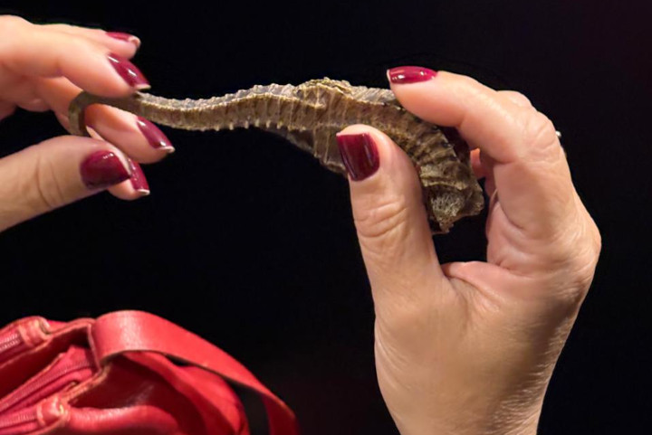 AquaRio ganha a audiodescrição, benefício ao deficiente visual