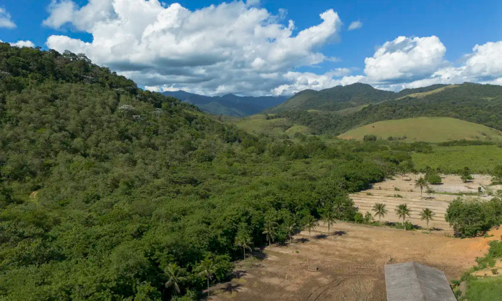 Há reflorestamento na Mata Atlântica, destruída pela cidade e agricultura Há reflorestamento na Mata Atlântica, destruída pela cidade e agricultura