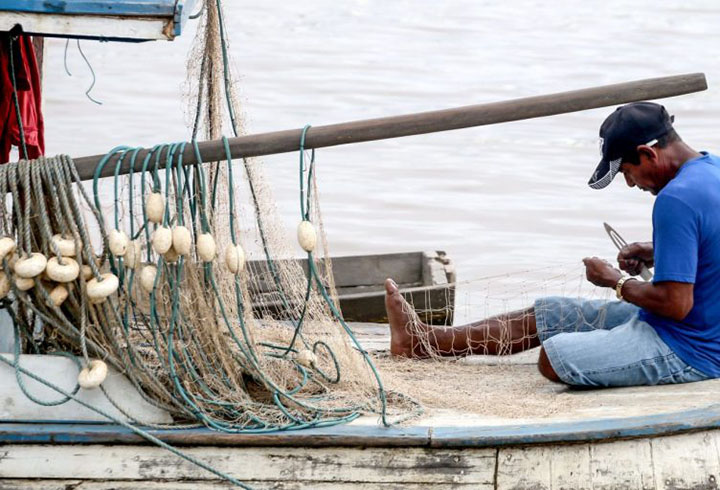 Canceladas 76.665 licenças de pescadores em todo o Brasil