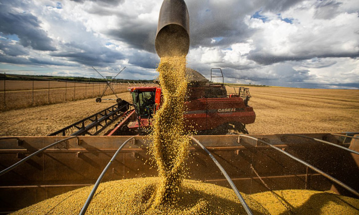 Alugar ou comprar máquinas agrícolas: calculadora da CNA ajuda decidir