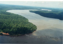 Explorado e poluído rio Iguaçu espera por socorro discutido há 50 anos
