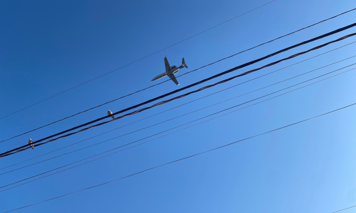 Empresa aérea Flybondi não pode vender passagens no Brasil. Decisão da ANAC.
