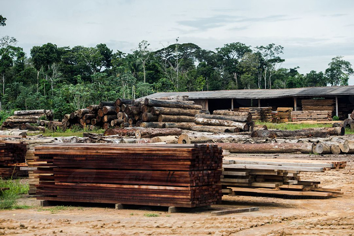 Balanço do ICMBio mostra crimes ambientais no Brasil