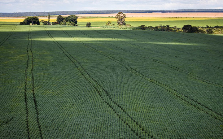 Produtores do Brasil explicam como fica o mercado com início do acordo Mercosul-União Europeia
