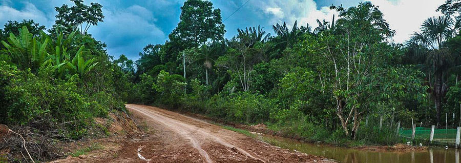 AGU bloqueia R$ 95,6 milhões de desmatadores na Amazônia