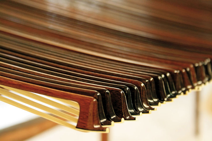 Personalidades do mundo apelam pelo pau-brasil em nome da música