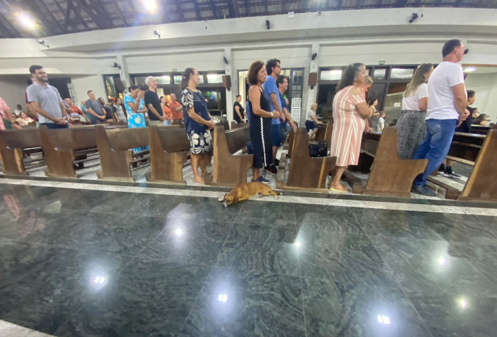 Rosnados e latidos, cachorro insiste em assistir missa em Matinhos