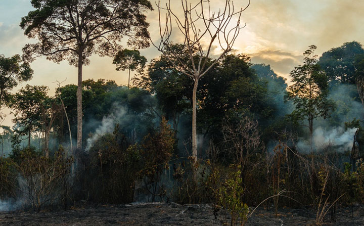 Desmatamento pode limitar concessão de crédito a produtor rural