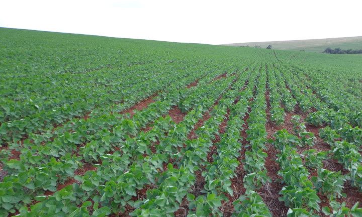 Agronegócio mostra posição para Conferência do Clima em Belém