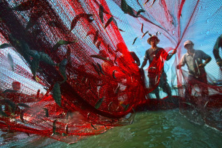 Mais de 1 milhão de pescadores terão registro a partir de 7 de julho