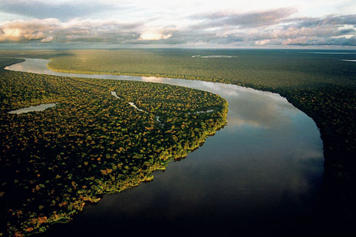 Criada Pró-Amazônia Legal inicia com verba de R$ 295 milhões