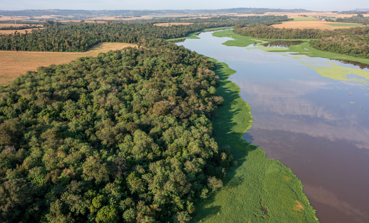 EMBRAPA inicia pesquisa da fauna e flora em 1,4 mil km de mata ciliar de Itaipu