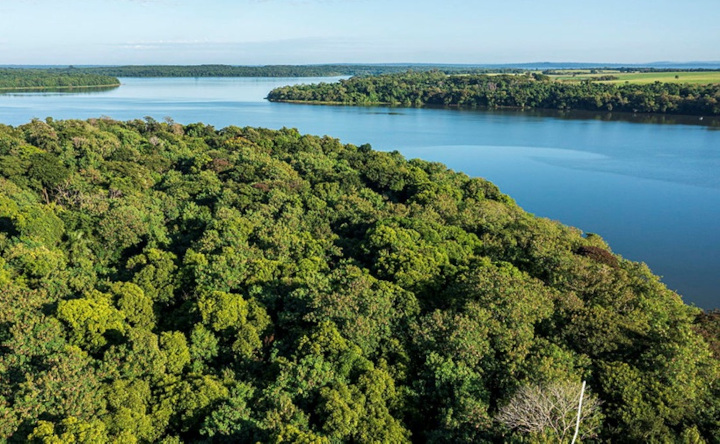 Floresta do Lago de Itaipu cresce 3 vezes em 40 anos: pesquisa EMBRAPA