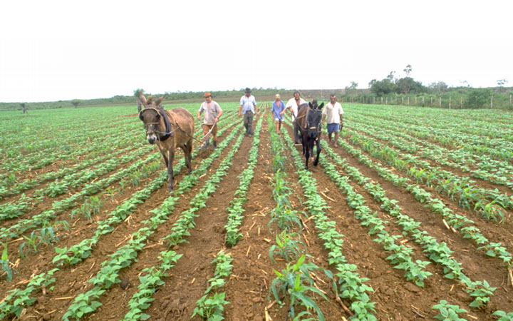 Trabalhadores rurais ganham programa Saúde no Campo: SENAR